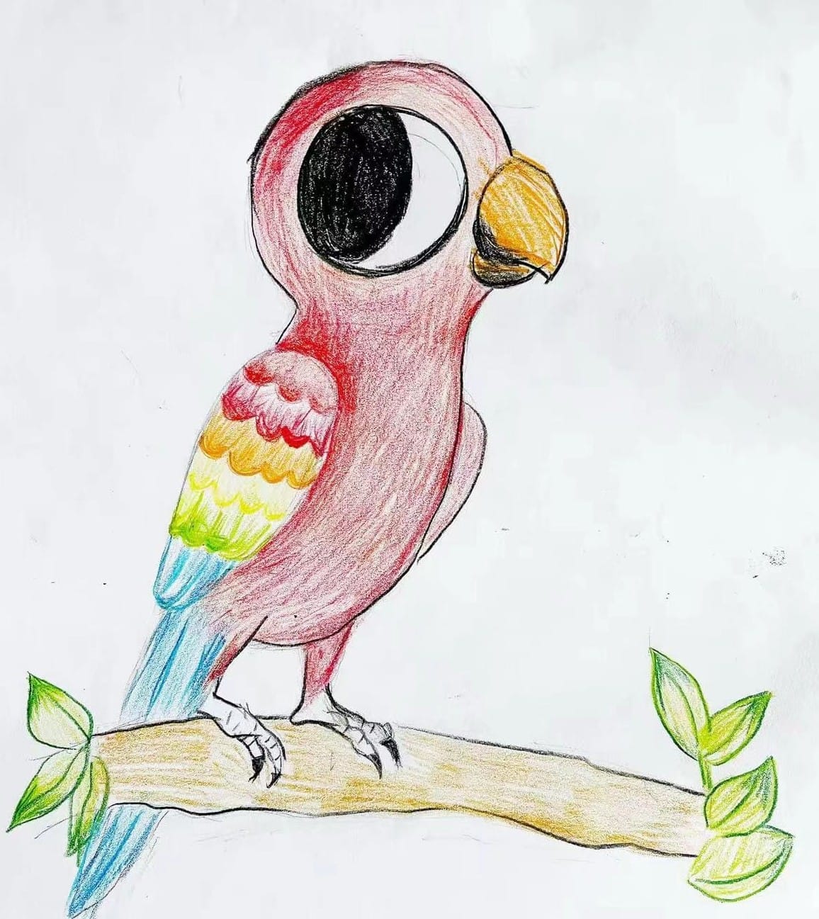 Parrot with overlarge eyes