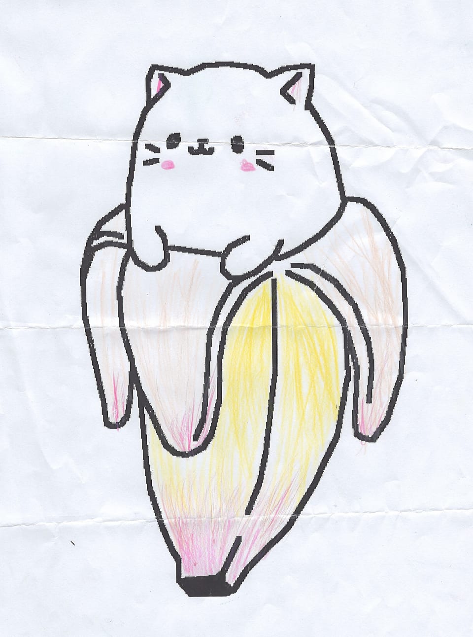 Cat in Banana