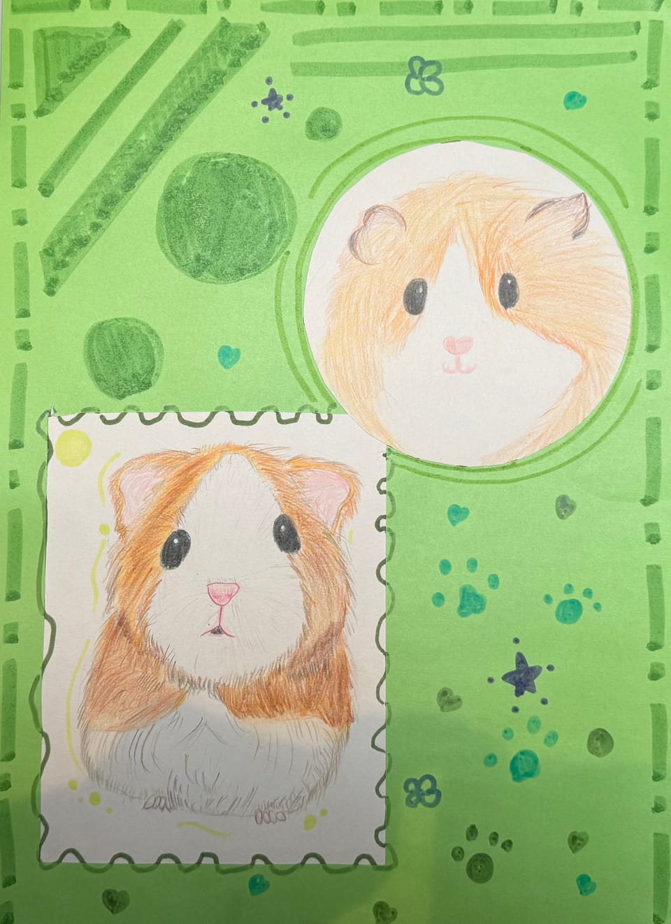 Guinea pig